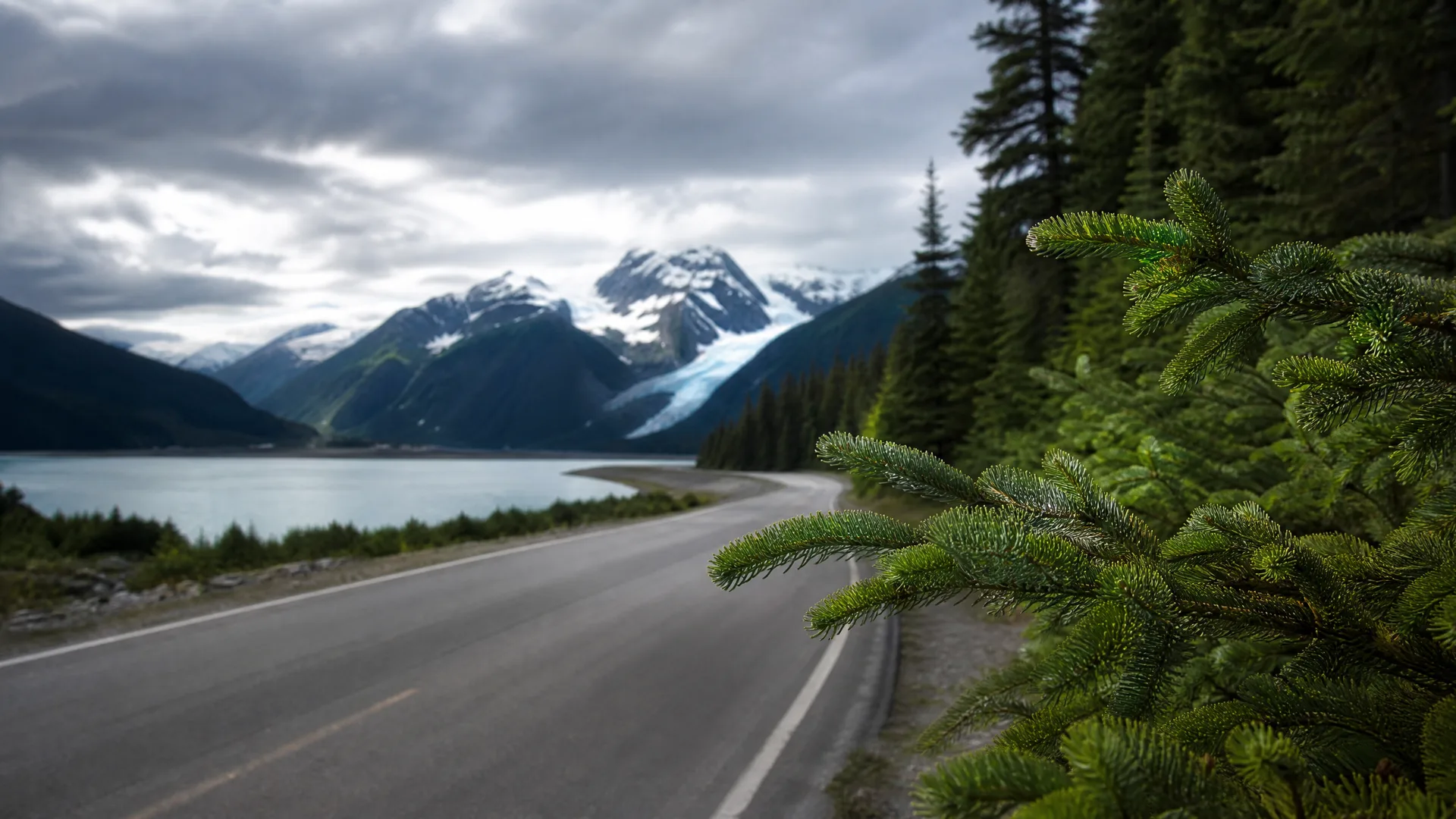 A two-lane paved road curves along the shore of a lake toward snow-capped mountains and a glacier, with conifer branches in sharp focus in the right foreground under an overcast sky.