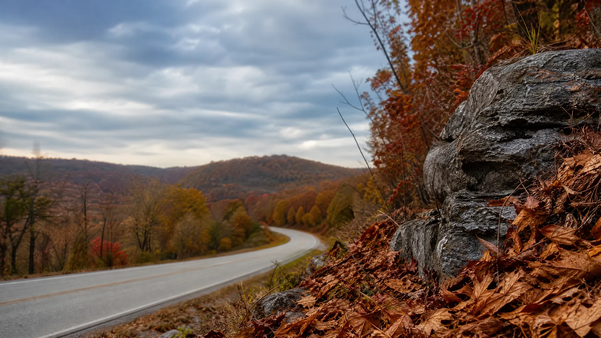 A two-lane paved road curves through forested rolling hills with autumn foliage, seen past a leaf-covered rocky bank in the foreground under a cloudy sky.