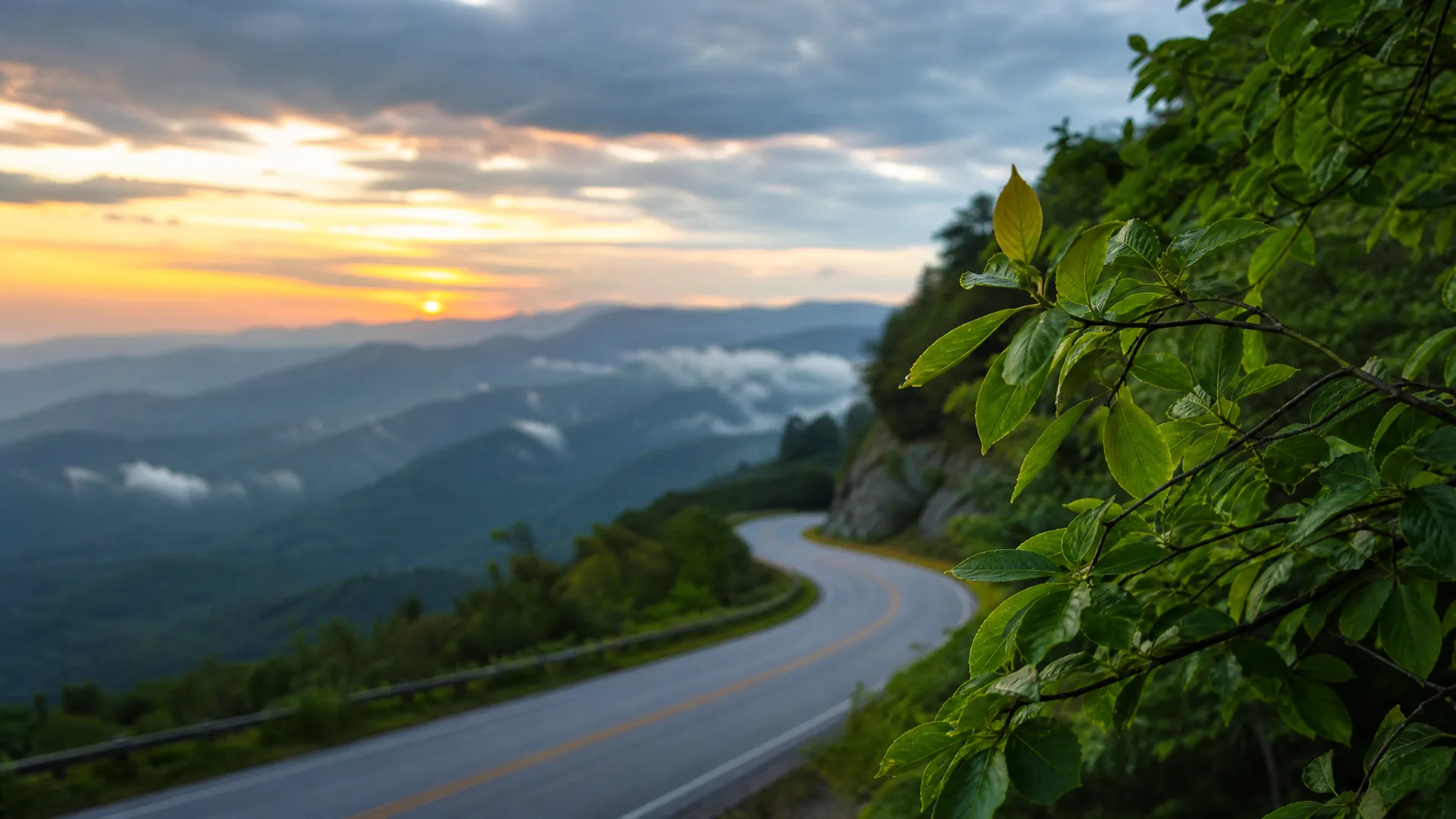 A curving two-lane road with a yellow center line runs along a forested mountainside at sunrise or sunset, with layered ridges and low clouds in the distance and a leafy branch in sharp focus in the right foreground.